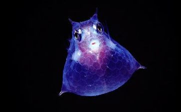 七上生物工作总结精选8篇