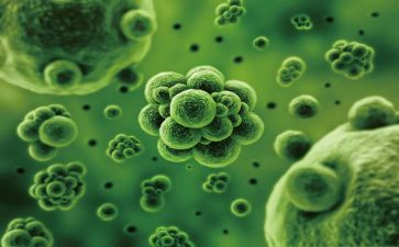 生物教师本学期工作总结6篇
