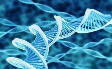 生物的心得体会6篇