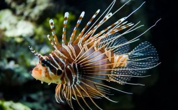 生物的心得体会最新5篇