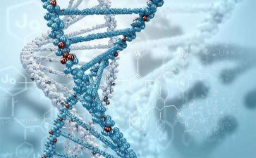 八上生物教学计划7篇
