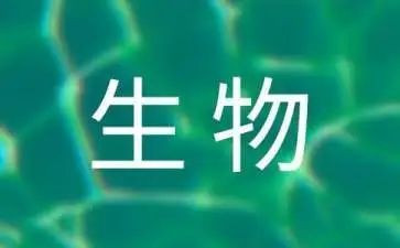 与生物的演讲稿6篇