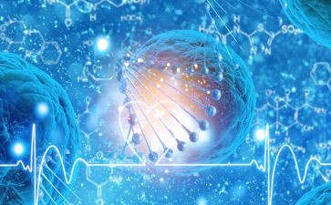 高二生物工作总结6篇