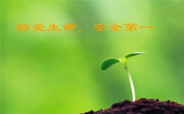 班级安全教育周工作总结6篇