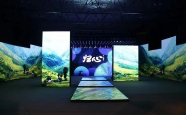 听师德师风报告会心得体会7篇