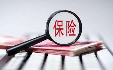 保险的心得模板7篇