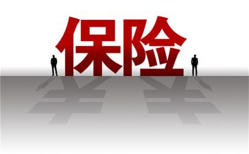保险销售员个人工作总结7篇