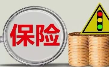 保险客服工作总结个人总结8篇