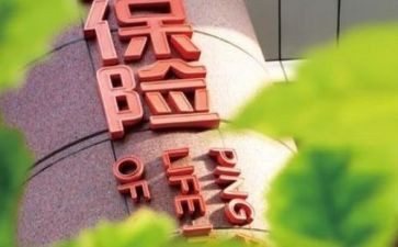 保险公司财务年终总结8篇
