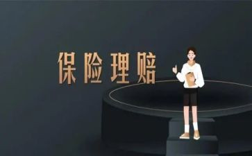 保险公司个人总结范文6篇