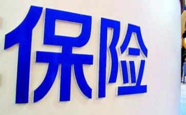 2024年保险年度工作总结8篇