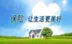 保险客服的工作总结6篇
