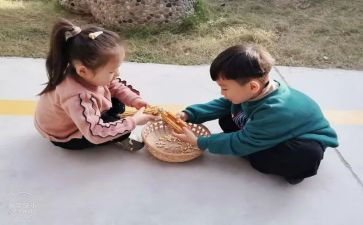 剥玉米作文600字6篇