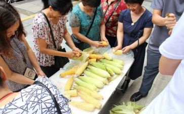 剥玉米作文400字8篇