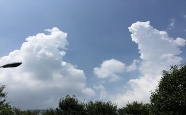 蚕的变化作文最新6篇