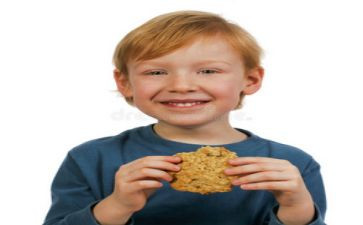 动物饼干教案6篇