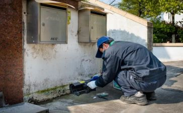 社区病媒生物防治工作计划5篇