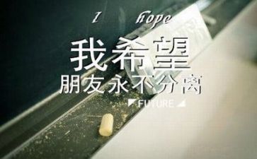 毕业生会计自我鉴定优秀8篇