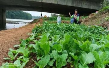 菜根谭心得体会5篇