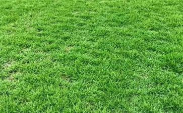 读?w草原的读后感5篇