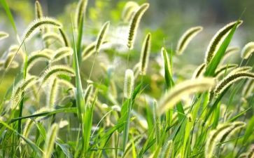 烟草客户经理年工作总结通用6篇