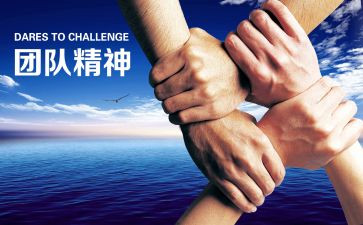 雷锋日的活动策划模板8篇
