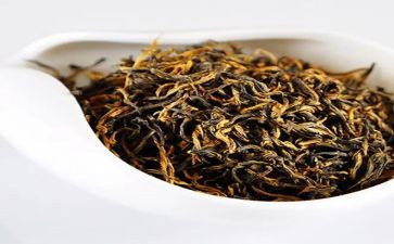 茶与茶文化心得体会7篇