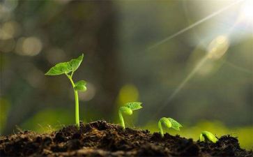 我在中成长作文600字精选8篇