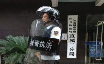 2024年城管年度总结精选5篇