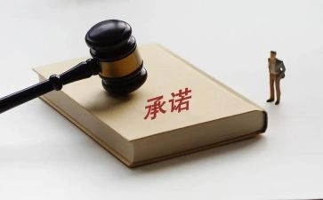 合同承诺模板7篇