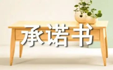 《我的承诺》作文优秀6篇