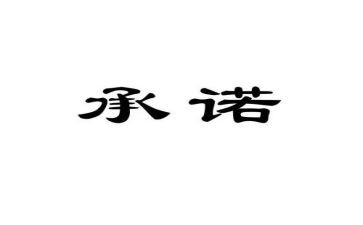 我承诺作文优质7篇