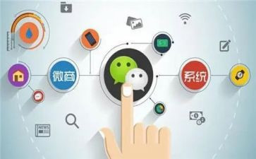 程序组的工作总结优秀7篇