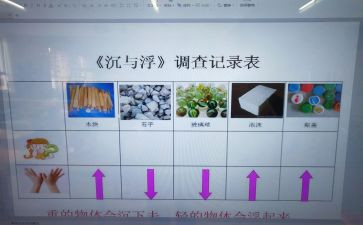 沉与浮活动教案优质8篇