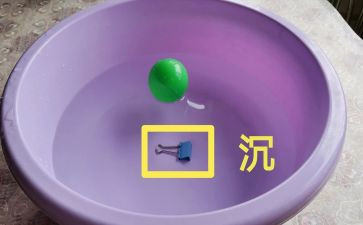初中物理沉与浮教案推荐6篇