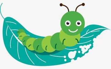 幼儿园《萤火虫》教案6篇