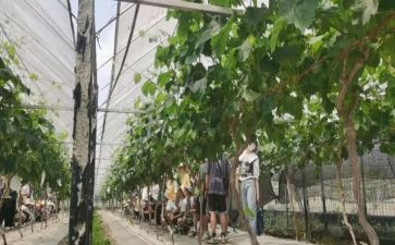 川农自我鉴定模板7篇