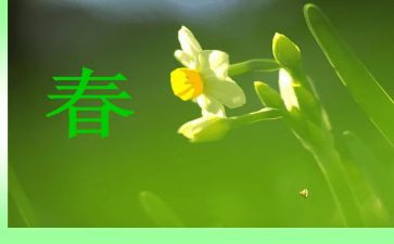 演讲稿青春励志800字参考8篇
