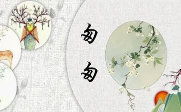《匆匆》读后感最新7篇