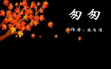 《匆匆》读后感8篇