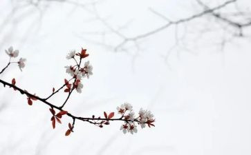 匆匆教学反思教学反思6篇