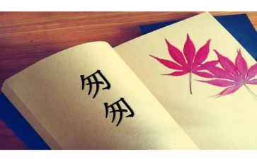 匆匆读后感500字5篇