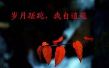 服务从心开始演讲稿范文7篇