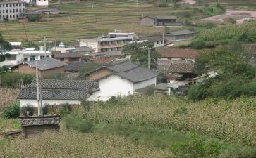 2024年度村工作总结及2024年度工作计划6篇