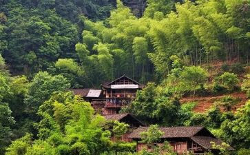 农村教师演讲稿8篇