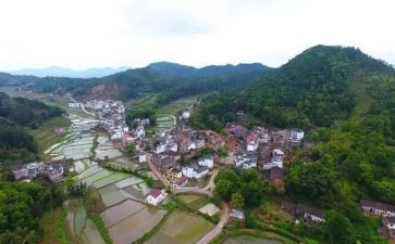 2024年村半年工作总结及下半年工作计划最新8篇