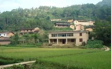 最新村级述职报告6篇