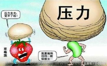 挫折类的作文600字最新5篇