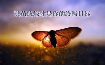 关于挫折的作文500字5篇