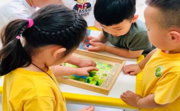 大班教学月工作计划最新8篇